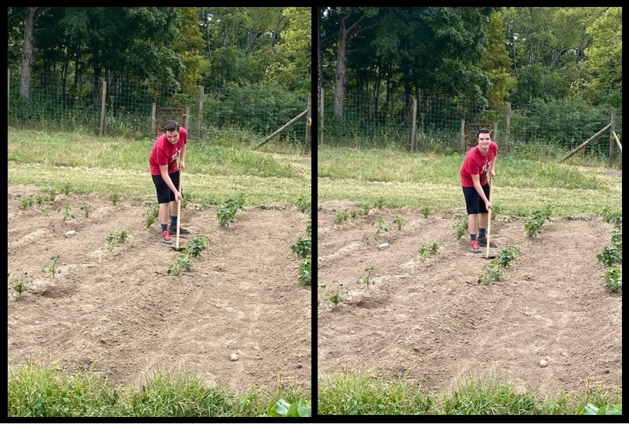 boy hoeing a field